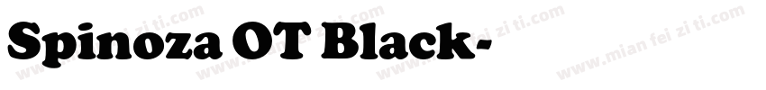 Spinoza OT Black字体转换